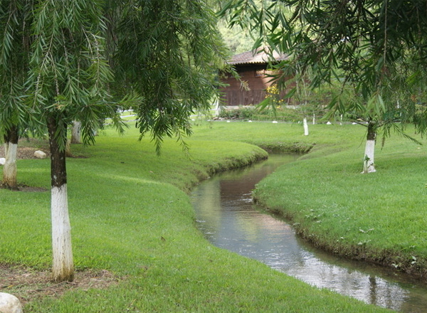 公園草坪